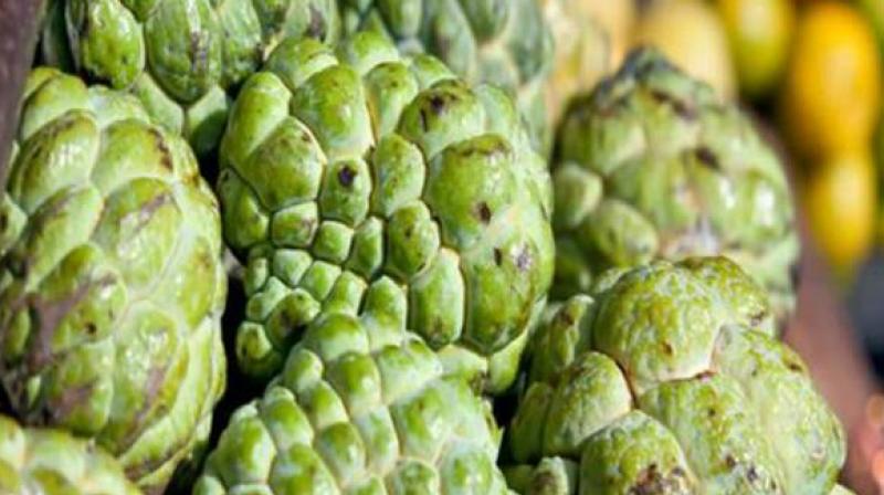 Custard apple Custard apple
