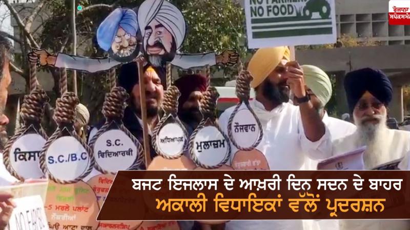 protesy vidhansabha protesy vidhansabha