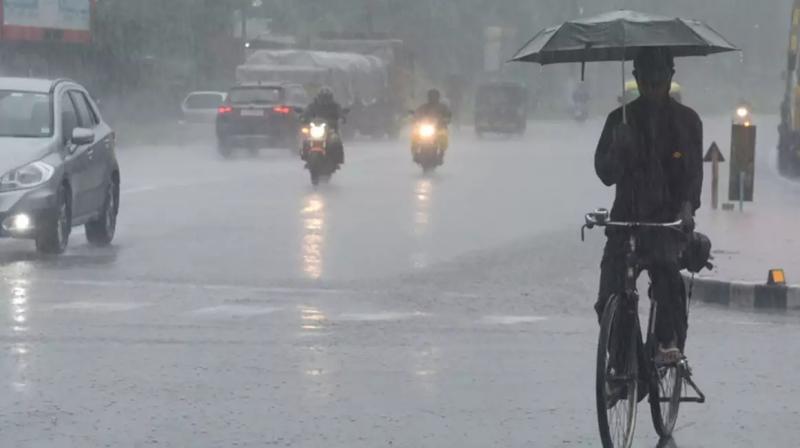 rain rain