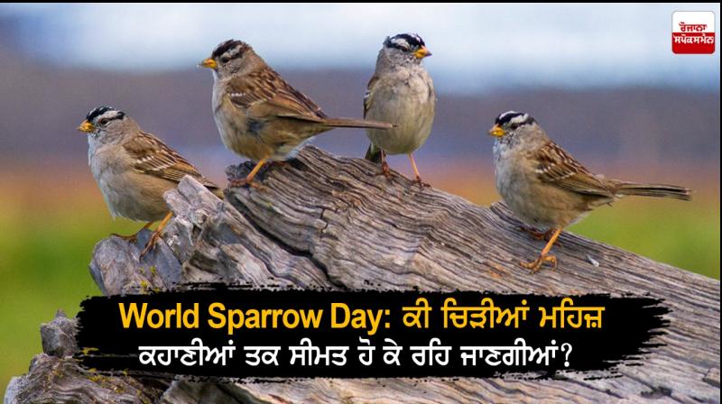 World Sparrow Day World Sparrow Day
