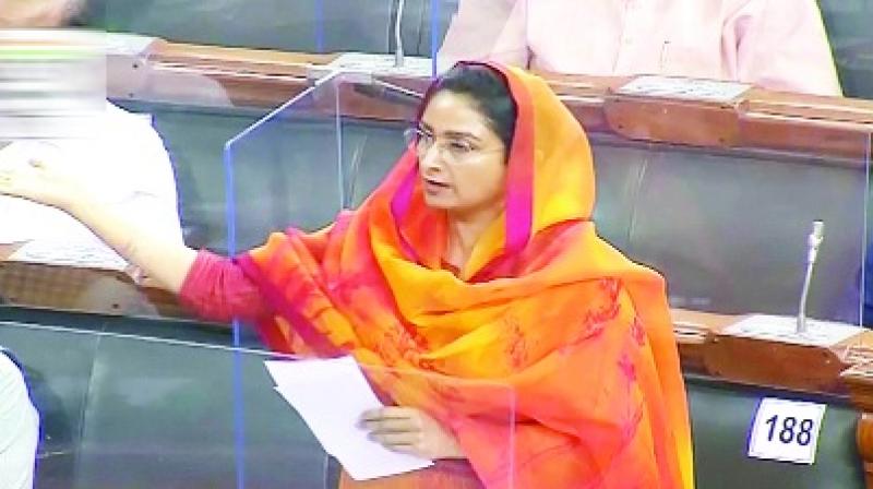 Harsimrat Kaur Badal Harsimrat Kaur Badal