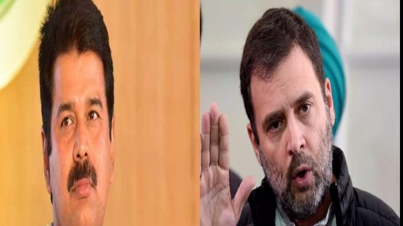 Former Kerala MP's statement and Rahul Gandhi Former Kerala MP's statement and Rahul Gandhi