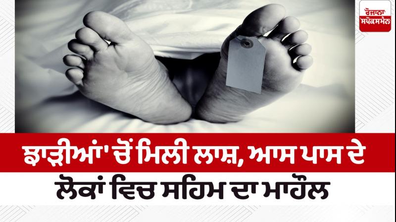 The deadbody of the young man was found in the bushes Gurdaspur news in punjabi