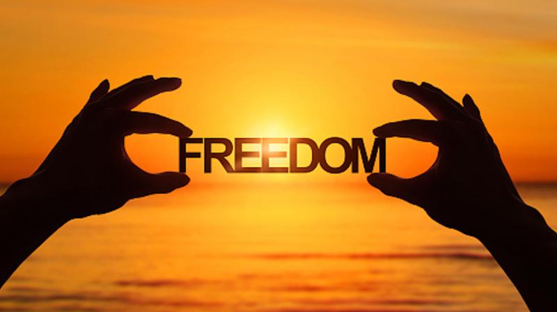 Freedom Freedom