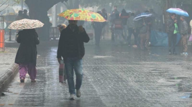  Rains in Haryana, Punjab relieve heat, drop in temperature