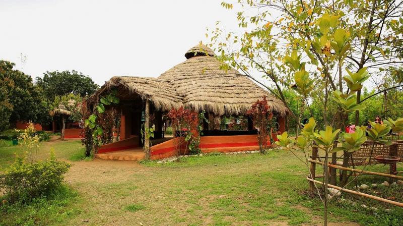 Camp Hornbill, Nanital, Uttarakhand Camp Hornbill, Nanital, Uttarakhand