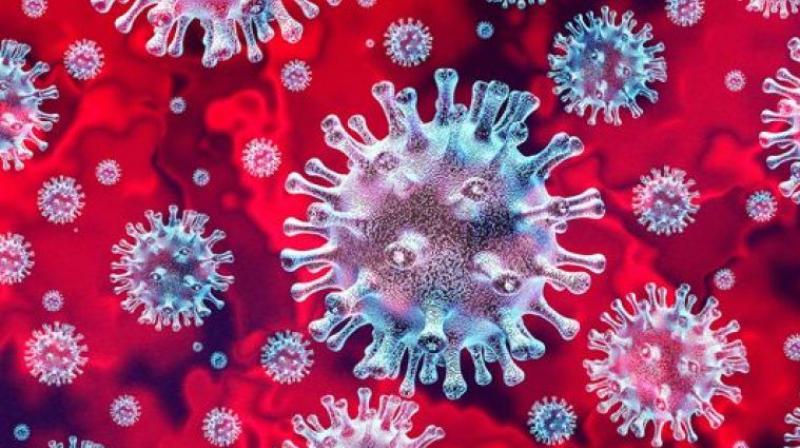 Us explores possibility that coronavirus started in chinese lab not a market 