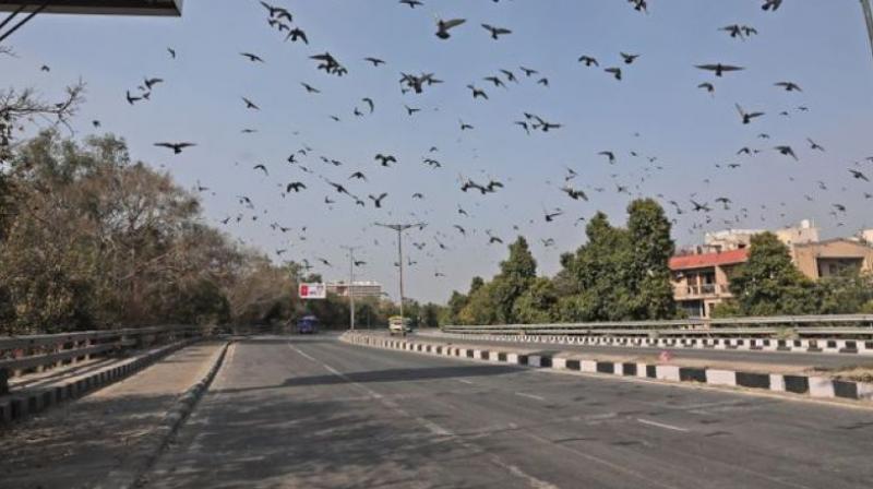 Rule in lockdown gopalganj bihar