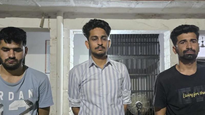 MBBS students looted milk van Rajasthan News MBBS students looted milk van Rajasthan News