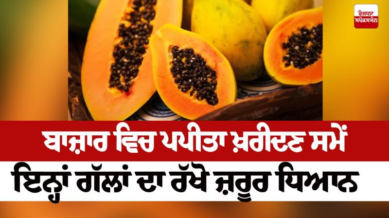 Keep these things in mind while buying papaya in the market Keep these things in mind while buying papaya in the market