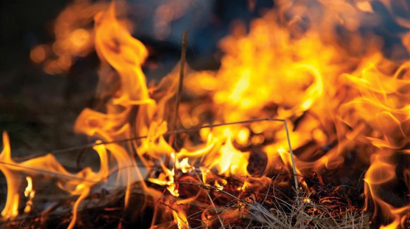 burn burn