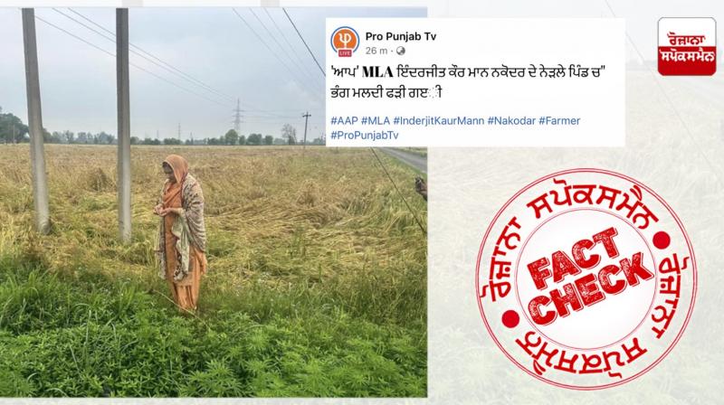 Fact Check edited screenshot of Pro Punjab TV post viral to Defame AAP MLA Inderjit Kaur Mann Fact Check edited screenshot of Pro Punjab TV post viral to Defame AAP MLA Inderjit Kaur Mann
