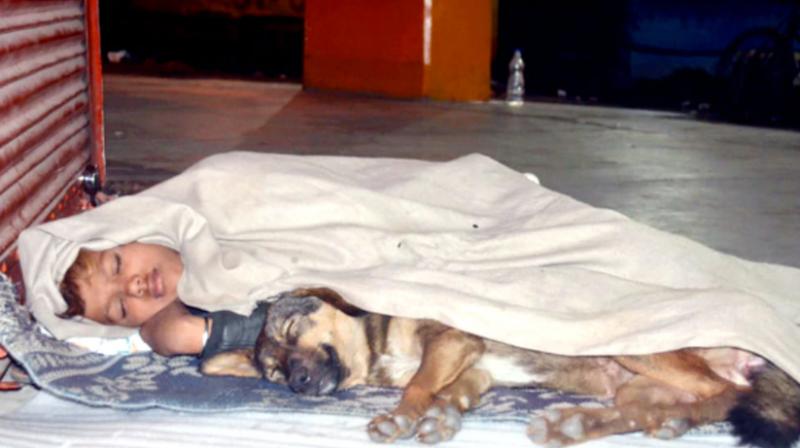 Homeless Boy sleeping on a footpath with a dog Homeless Boy sleeping on a footpath with a dog