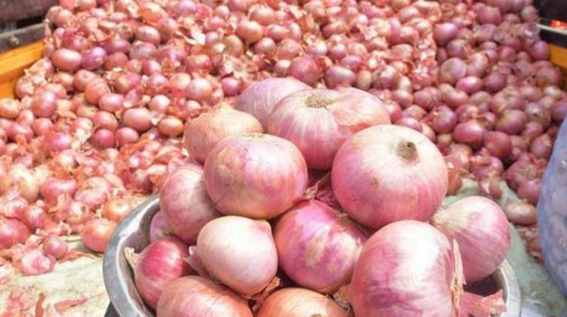 Onion Onion