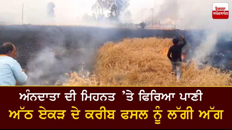 Wheat crop damaged in fire