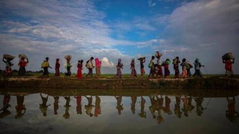 Rohingyas Rohingyas