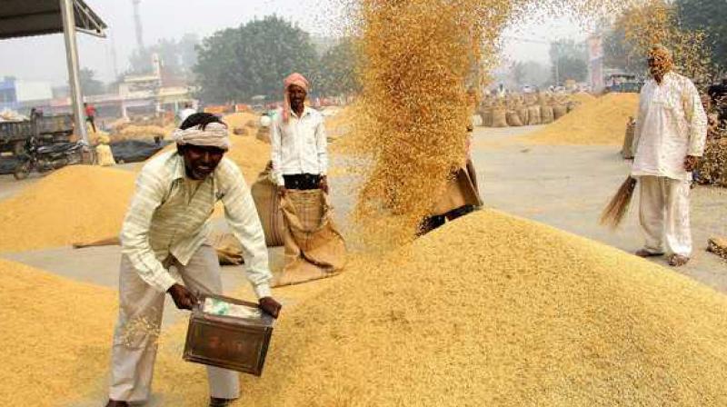 93344 Mt Paddy Procured 93344 Mt Paddy Procured