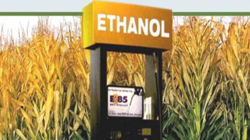  Ethanol will be prepared directly from sugarcane