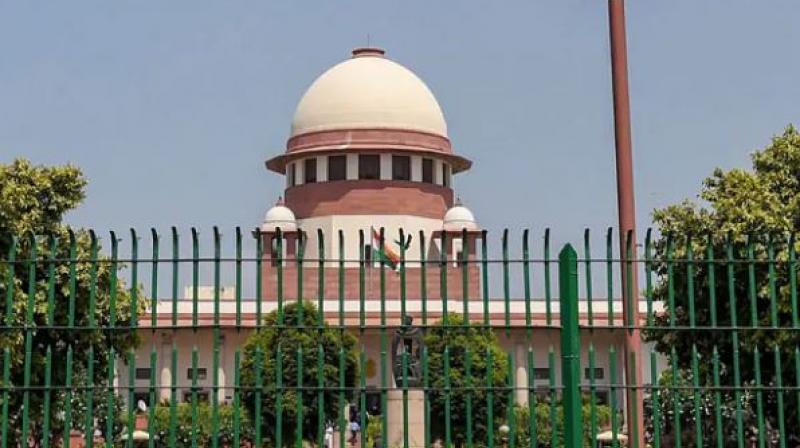 Forensic editor register report in SC Forensic editor register report in SC