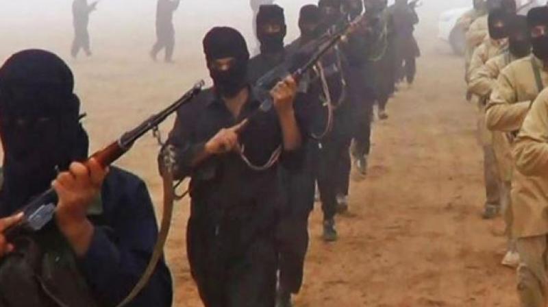 The construction of the terror camps started again The construction of the terror camps started again