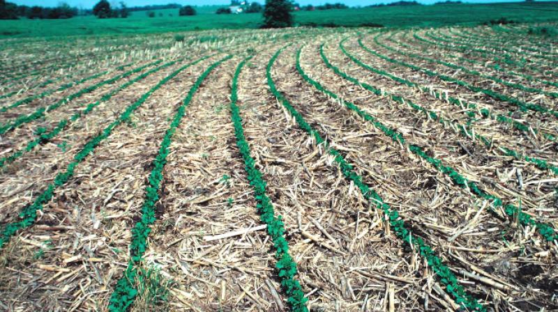 Scheme for purchase of Agricultural machinery for in situ management of paddy straw Scheme for purchase of Agricultural machinery for in situ management of paddy straw