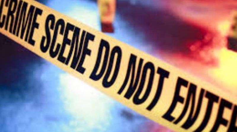 Brother brutally killed his sister for property Brother brutally killed his sister for property