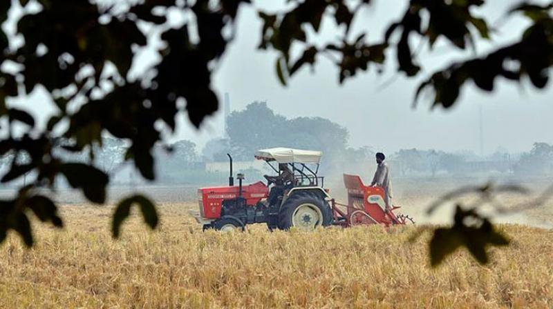 New technique developed by farmer relates to stubble New technique developed by farmer relates to stubble