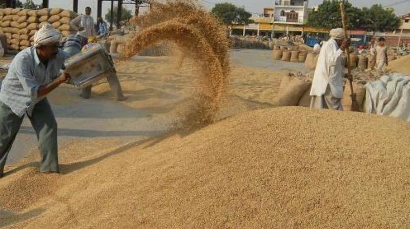 Paddy purchased 9381242 metric tonnes in the state Paddy purchased 9381242 metric tonnes in the state