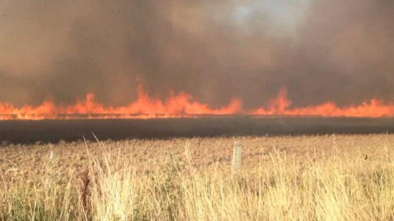 Stubble Burning Stubble Burning