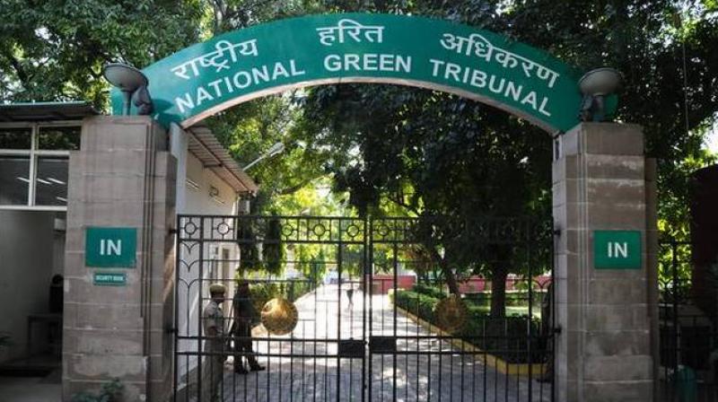 NGT impose fine of 50 crore to Punjab Govt. NGT impose fine of 50 crore to Punjab Govt.