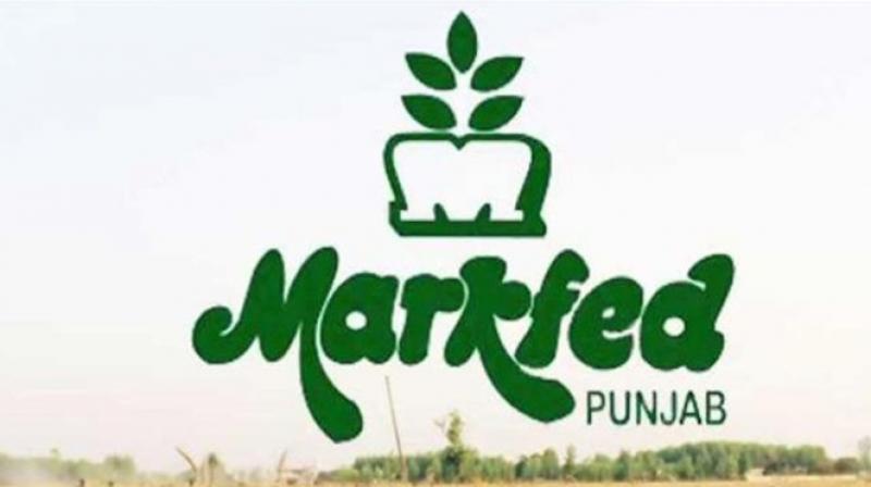 Markfed will provide Mid-day-meal... Markfed will provide Mid-day-meal...