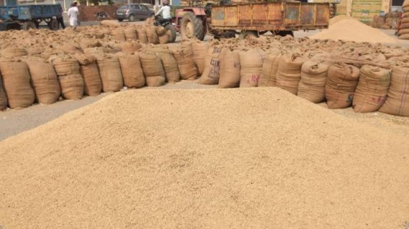 168.24 Lakh metric tonnes of Paddy purchased in the state 168.24 Lakh metric tonnes of Paddy purchased in the state
