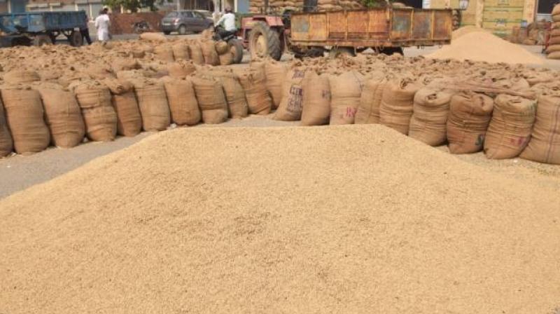  Paddy procurement of 170.16 lakh metric tonnes in the state