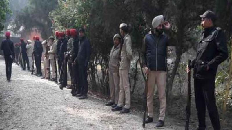 Input of terrorist in forest area Input of terrorist in forest area