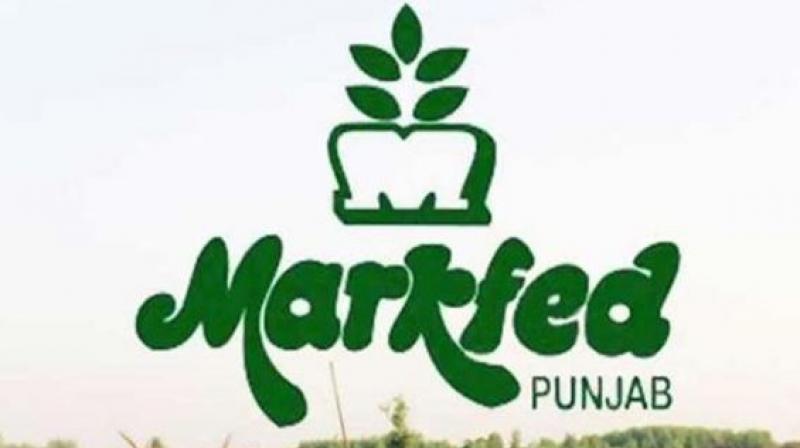 Markfed Punjab