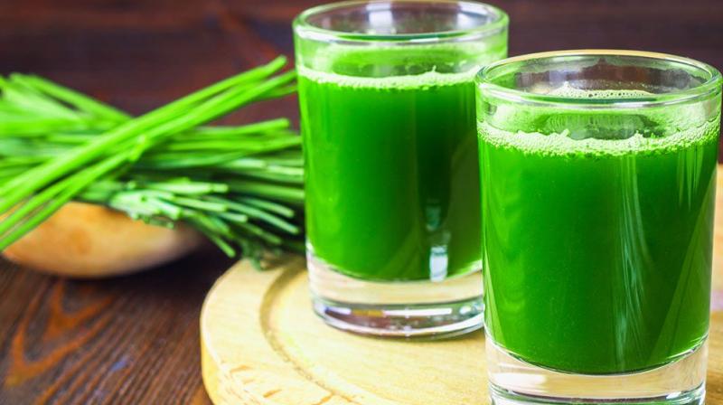 Wheatgrass juice is a pure natural diet Wheatgrass juice is a pure natural diet
