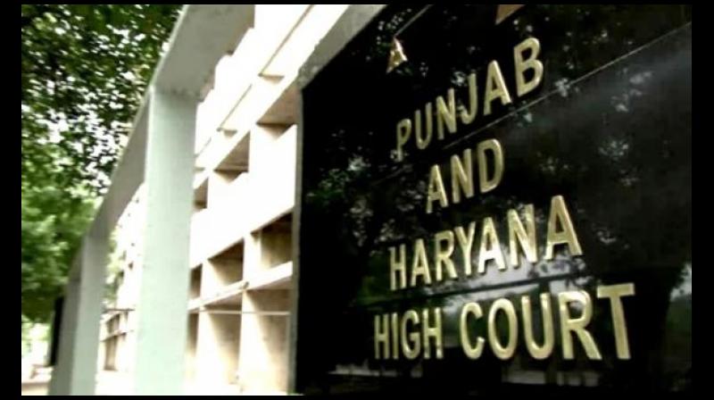 High Court bans on auction of sand and gravel mines High Court bans on auction of sand and gravel mines
