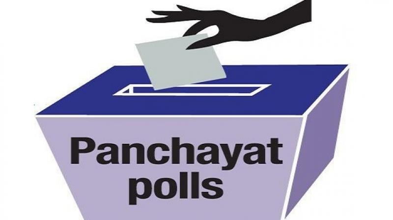 Election Election