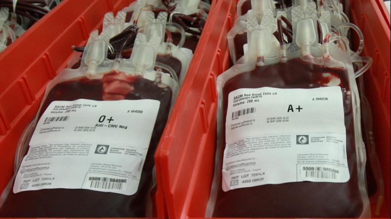 Blood Bank