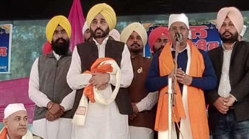 AAP will not coordinate with any party in Lok Sabha elec. AAP will not coordinate with any party in Lok Sabha elec.