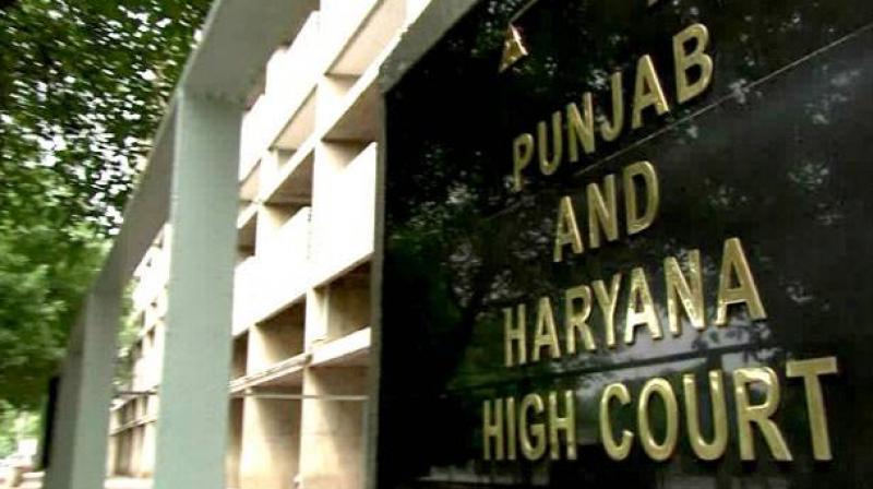 High court remarks on the growing drug trade in Punjab