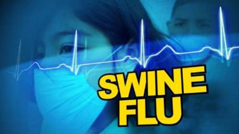 Swine Flu Swine Flu