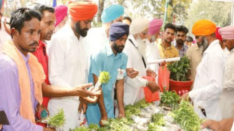Kissan Mela Kissan Mela