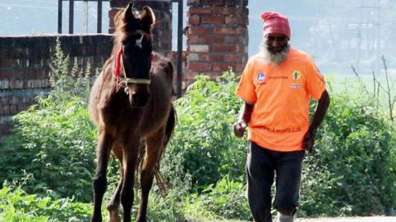 Balwant Singh Balwant Singh