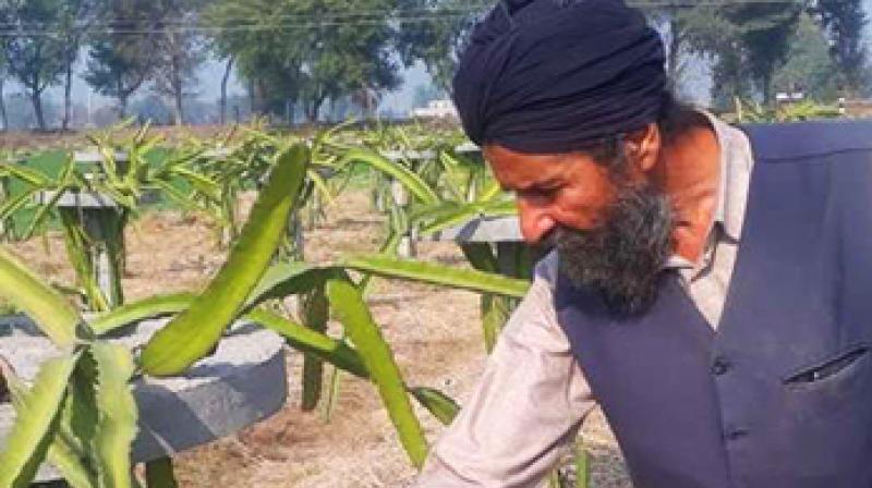 Kissan Kissan
