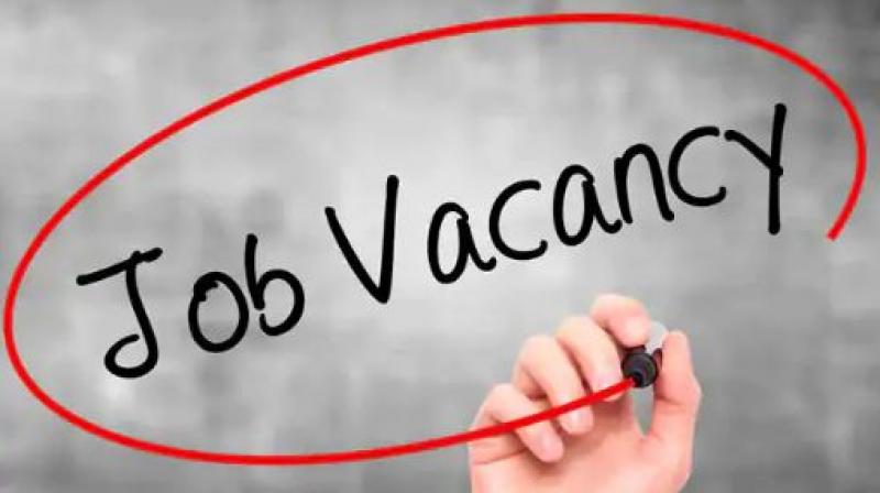 Job Vacancies Out Job Vacancies Out