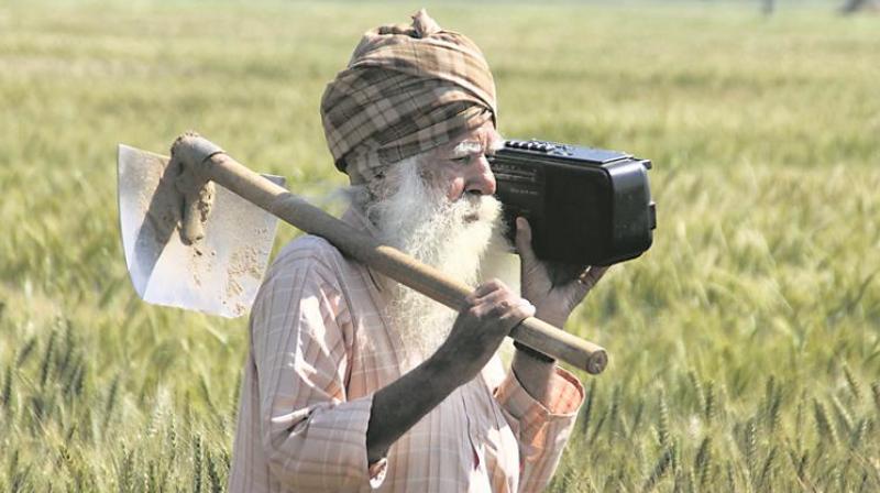 Punjab Farmer Punjab Farmer