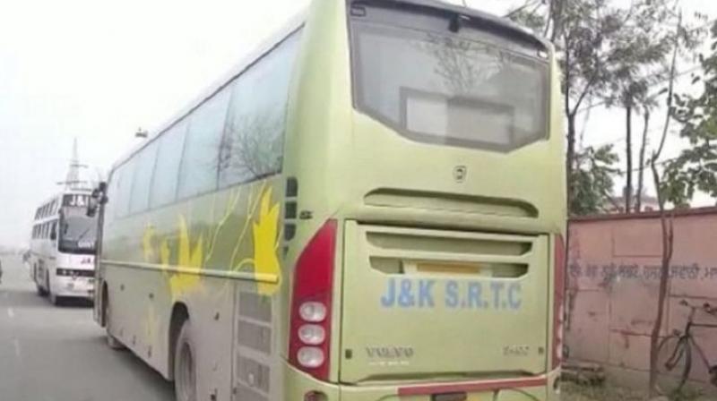 Bus Bus