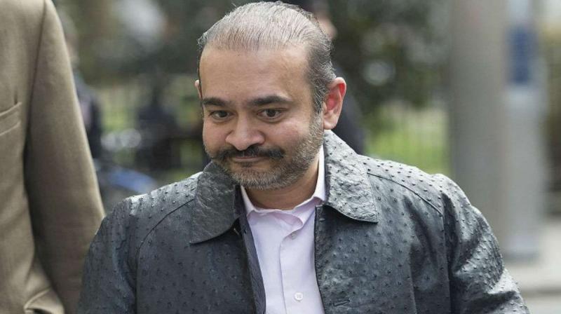 Nirav Modi 