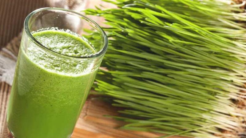 Wheat Grass Juice